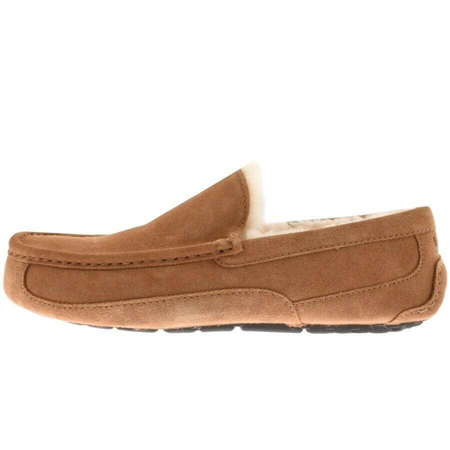 Ugg Ascot Slippers Brown