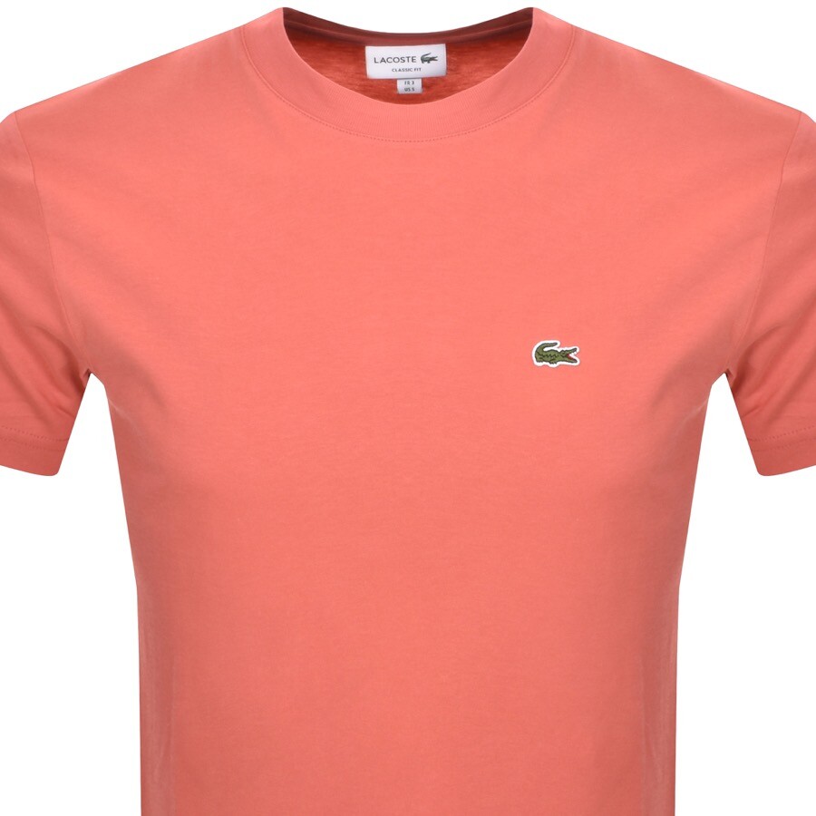 Shop Lacoste Crew Neck T Shirt Pink